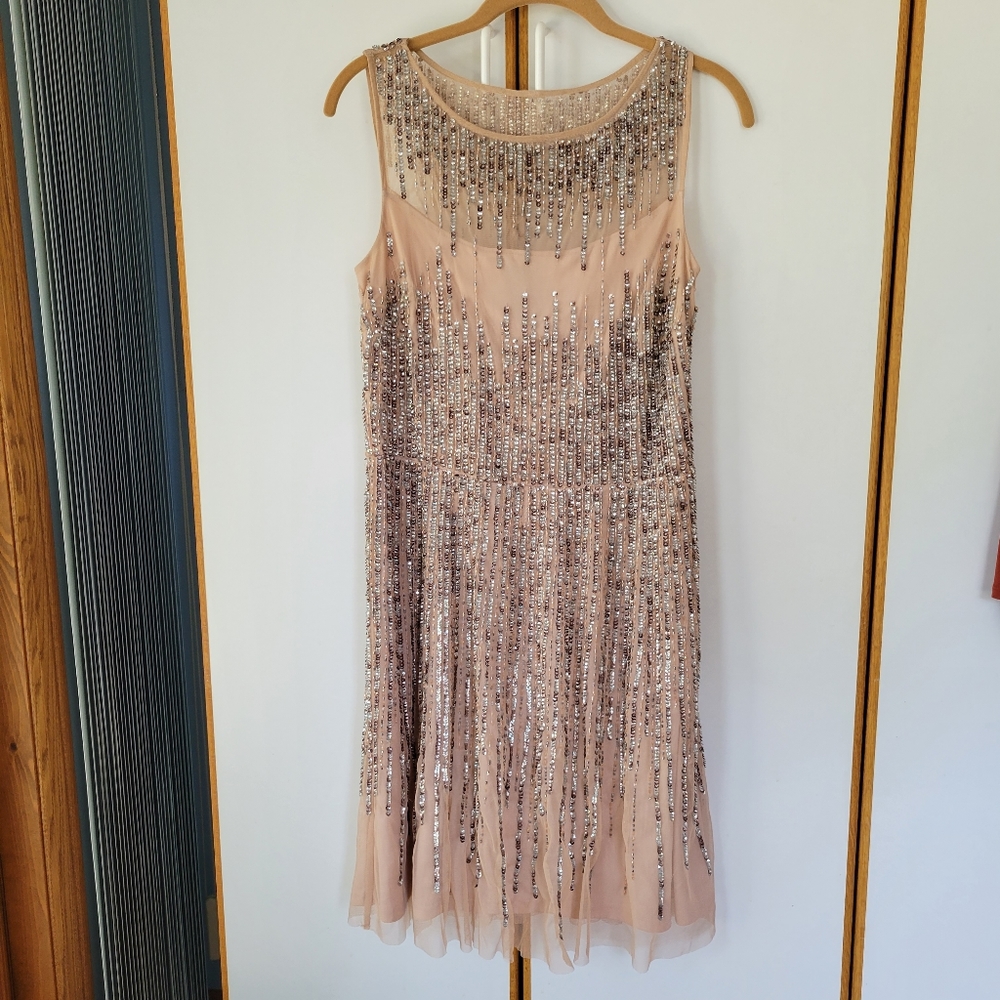 Adrianna Papell Embellished Dress 8 Blush Silver